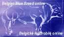 Czech Belgian Blue