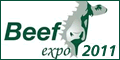 Beef2010
