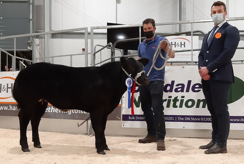 Reserve Champion