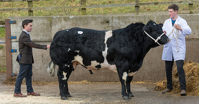 Almeley Linford sold for 4,300gns