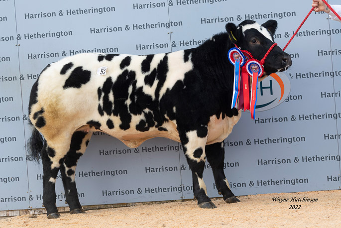 Topside Respect Female and Reserve Overall Champion - 10,000gns