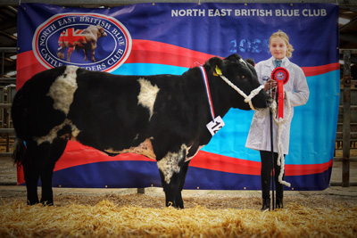 Class 9 - Driver - Senior young handler and champion