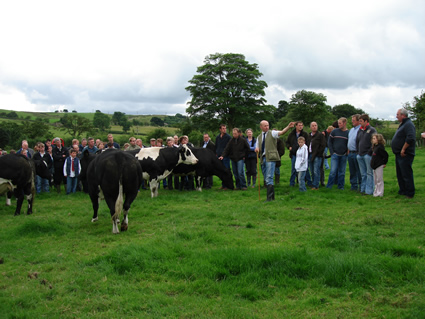 Brennand Farm lands another championship at Skipton calf show