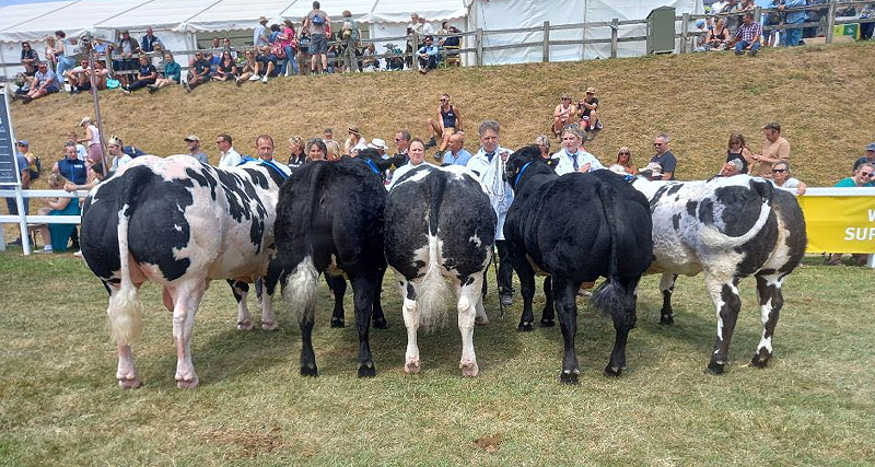 Royal Cornwall Show Reserve Champion Team of 5