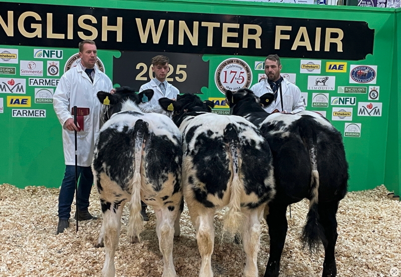 Royal Smithfield Duke of Norfolk Trophy